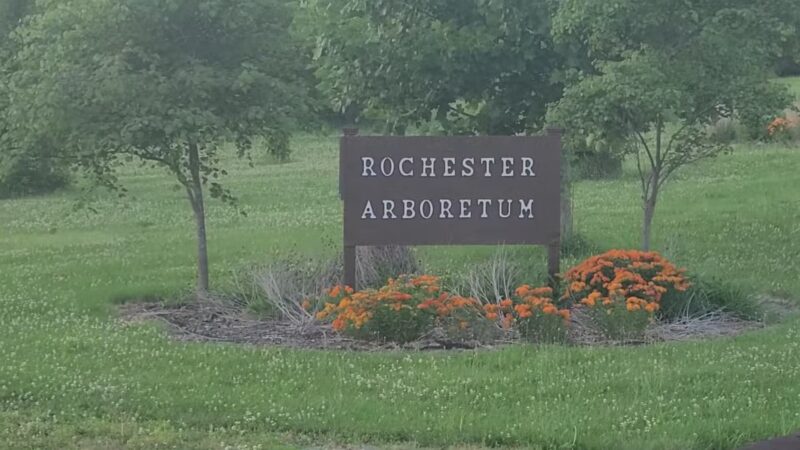 Rochester Community Park - Rochester, IL