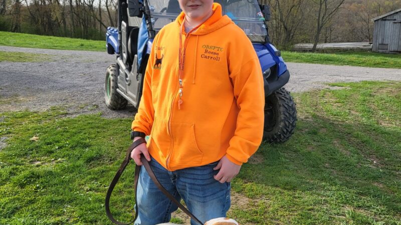 Beaver Valley Pointer Setter Club - Rochester, PA