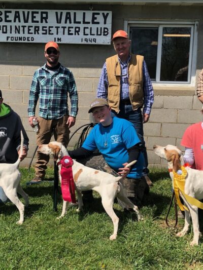 Beaver Valley Pointer Setter Club - Rochester, PA