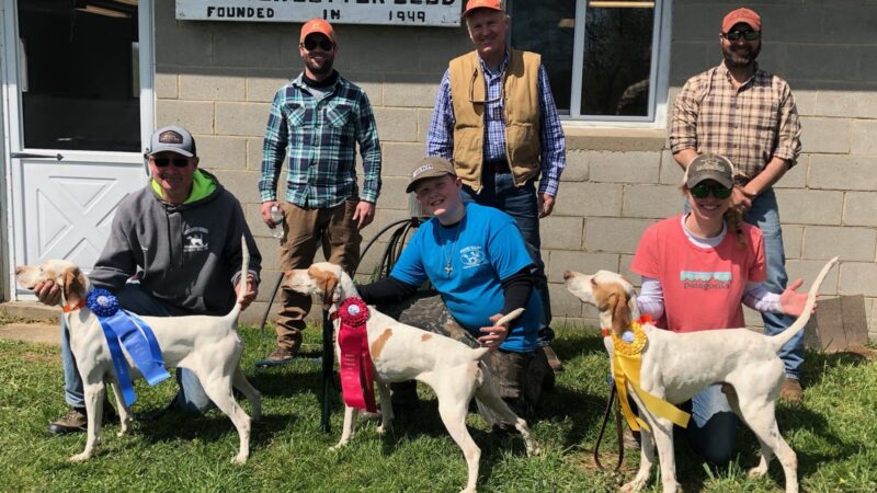 Beaver Valley Pointer Setter Club - Rochester, PA