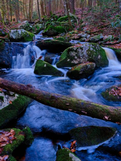 Neversink Gorge Trails - Rock Hill, NY