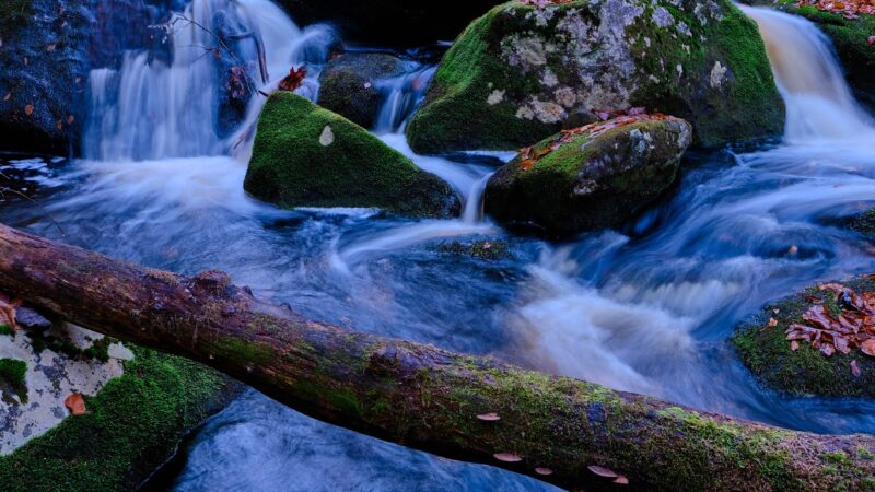 Neversink Gorge Trails - Rock Hill, NY