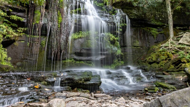 Neversink Gorge Trails - Rock Hill, NY