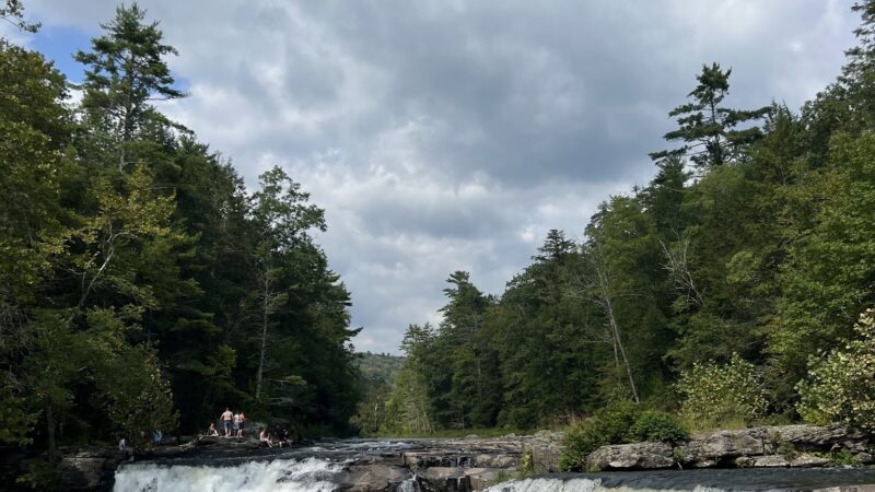 Neversink Gorge Trails - Rock Hill, NY