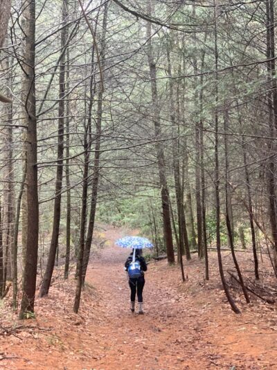 Neversink Gorge Trails - Rock Hill, NY