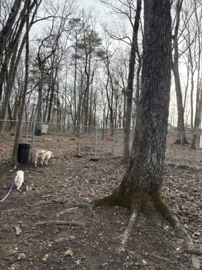 NGAL Dog Park - Rock Spring, GA