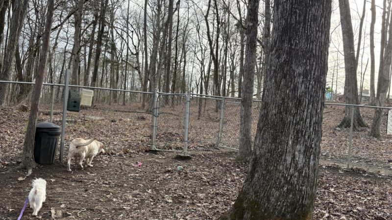 NGAL Dog Park - Rock Spring, GA