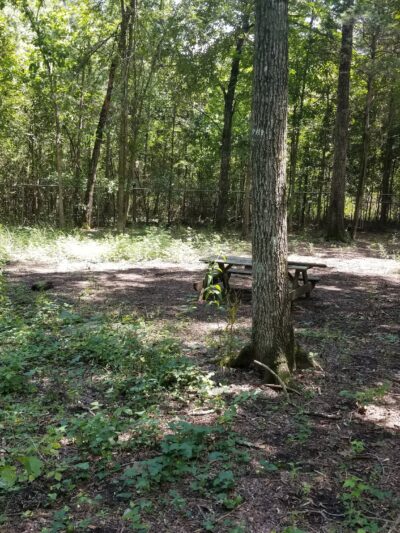 NGAL Dog Park - Rock Spring, GA