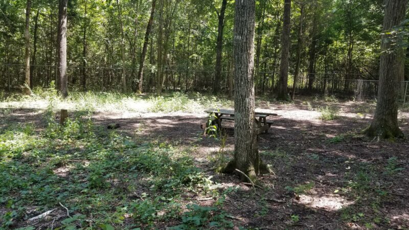 NGAL Dog Park - Rock Spring, GA