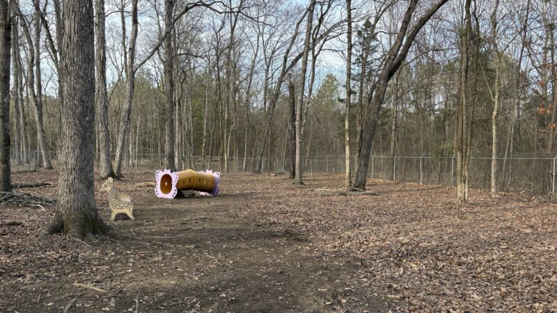 NGAL Dog Park - Rock Spring, GA
