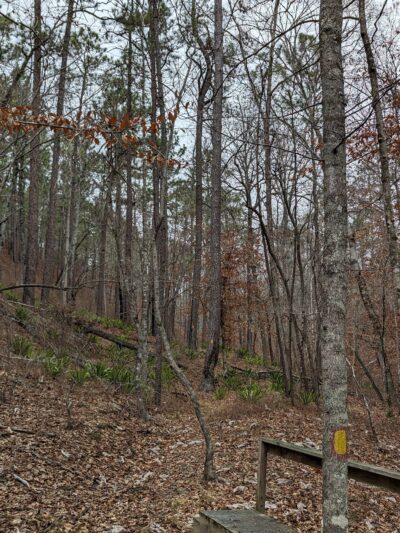 Coosa WMA, Forever Wild Trailhead - Rockford, AL
