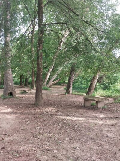 Coosa WMA, Forever Wild Trailhead - Rockford, AL