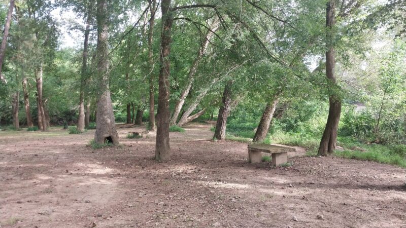 Coosa WMA, Forever Wild Trailhead - Rockford, AL