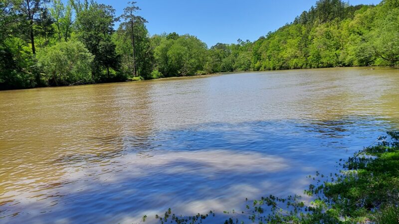 Coosa WMA, Forever Wild Trailhead - Rockford, AL