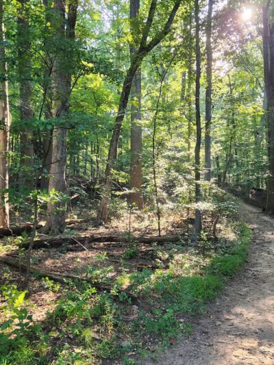 Rockleigh Woods Sanctuary - Rockleigh, NJ