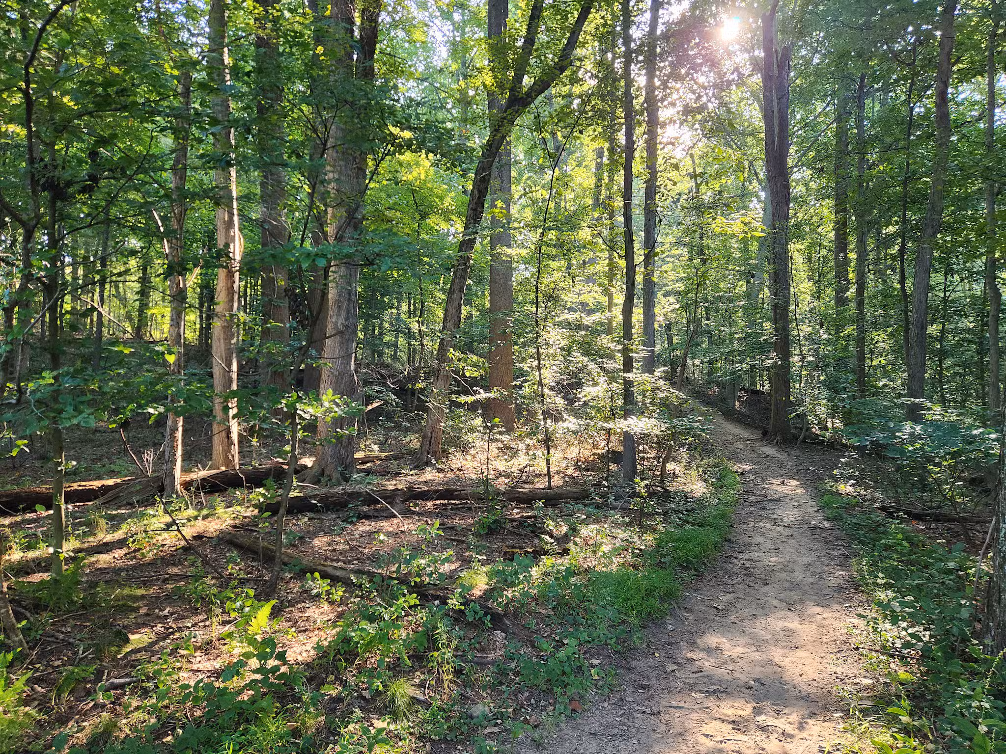 Rockleigh Woods Sanctuary - Rockleigh, NJ
