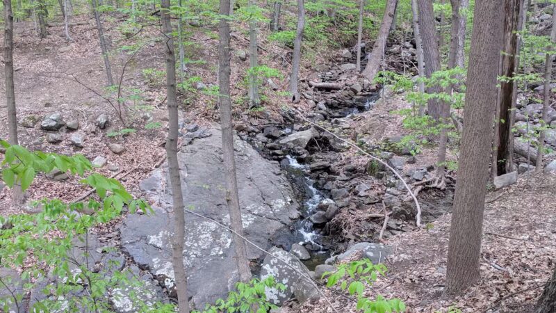 Rockleigh Woods Sanctuary - Rockleigh, NJ