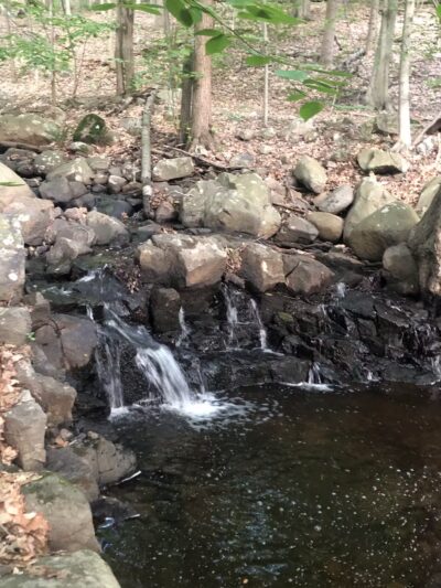 Rockleigh Woods Sanctuary - Rockleigh, NJ