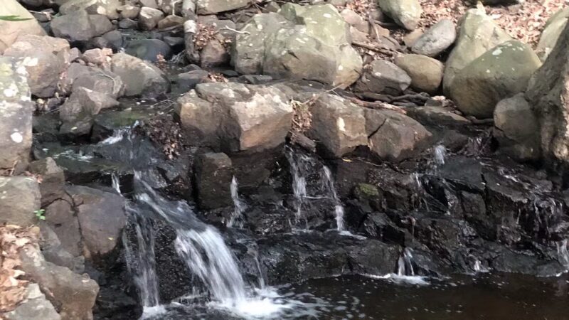 Rockleigh Woods Sanctuary - Rockleigh, NJ