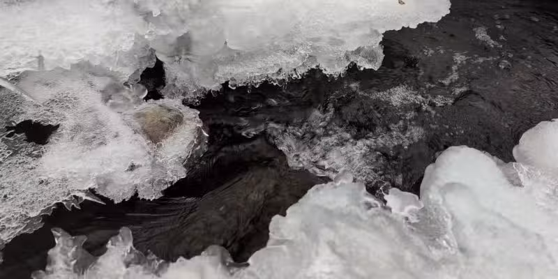 Rockleigh Woods Sanctuary - Rockleigh, NJ