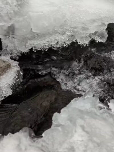 Rockleigh Woods Sanctuary - Rockleigh, NJ