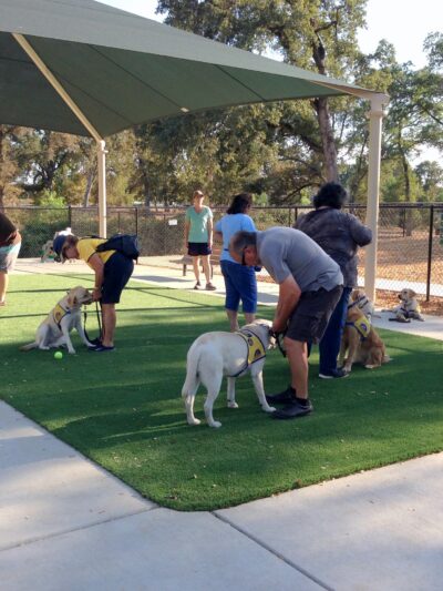 RRUFF Dog Park - Rocklin, CA