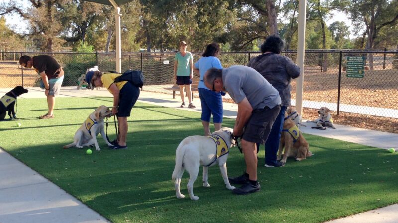 RRUFF Dog Park - Rocklin, CA