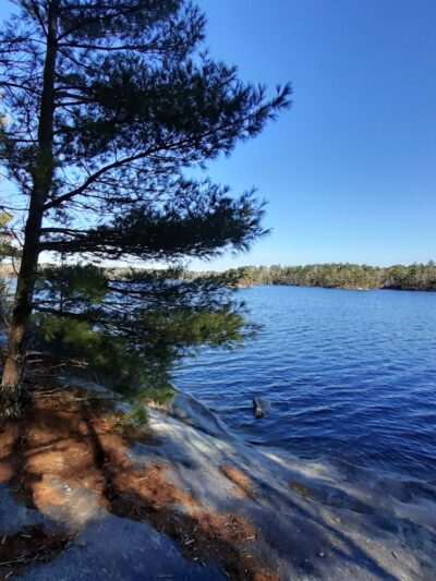 Narragansett Trail Trailhead - Rockville, RI