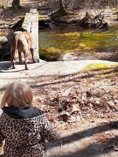 Narragansett Trail Trailhead - Rockville, RI