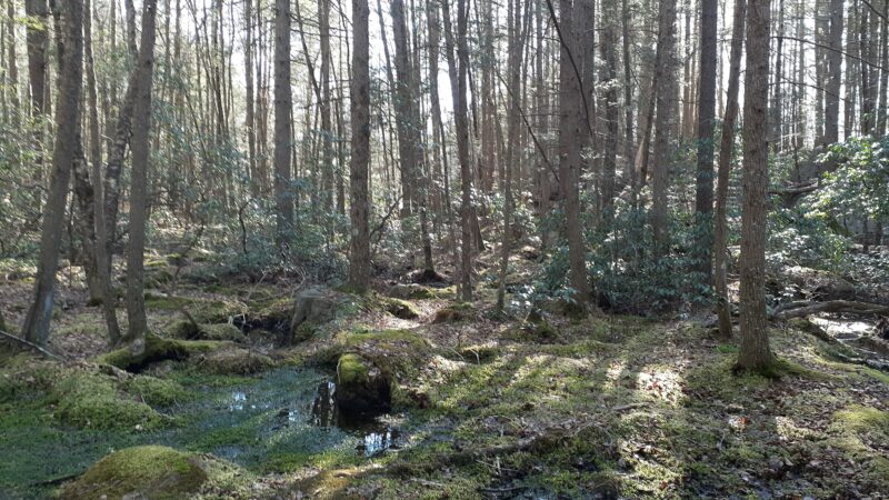 Narragansett Trail Trailhead - Rockville, RI