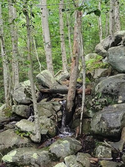 Narragansett Trail Trailhead - Rockville, RI