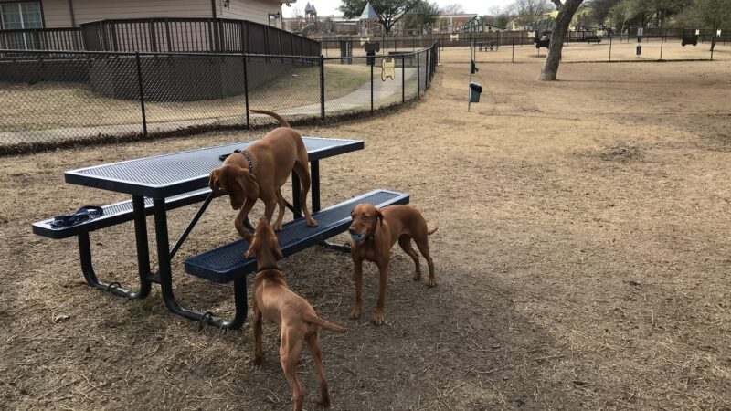 Harry Myers Dog Park - Rockwall, TX