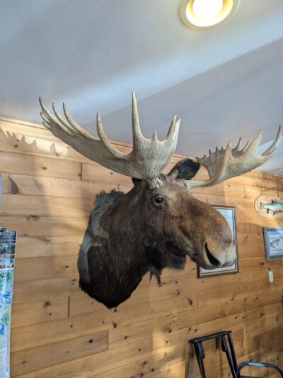 Rockwood Bar & Grill - Rockwood, ME