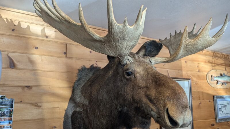 Rockwood Bar & Grill - Rockwood, ME