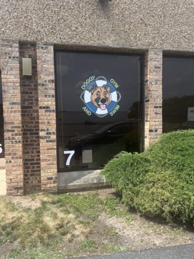 Doggy Gym and Swim - Rolling Meadows, IL