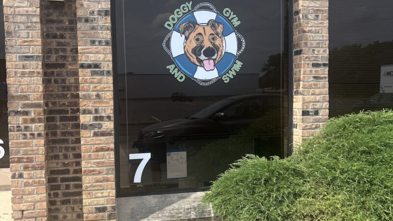 Doggy Gym and Swim - Rolling Meadows, IL