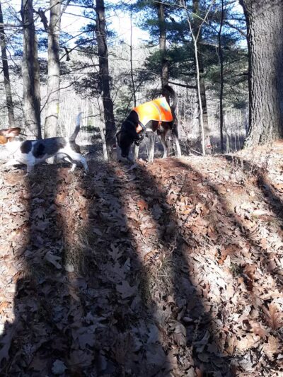 Bicentennial Park - Rollinsford, NH