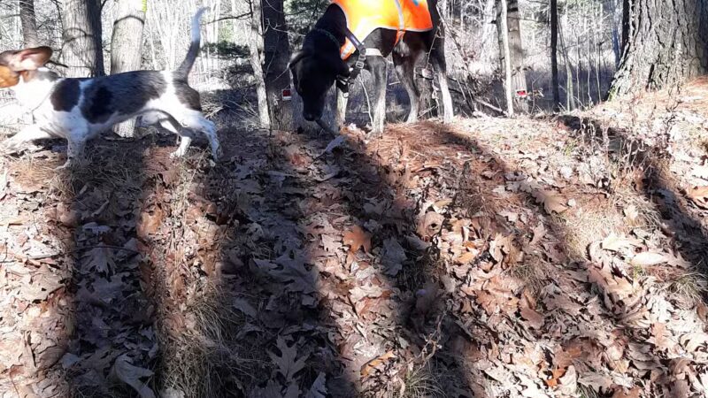 Bicentennial Park - Rollinsford, NH