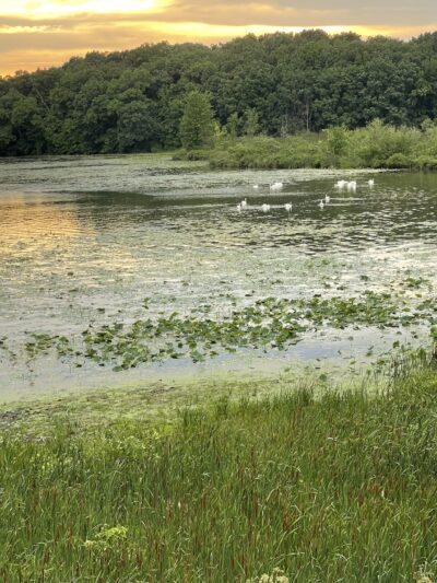 Sylvan Lake Indiana - Rome City, IN