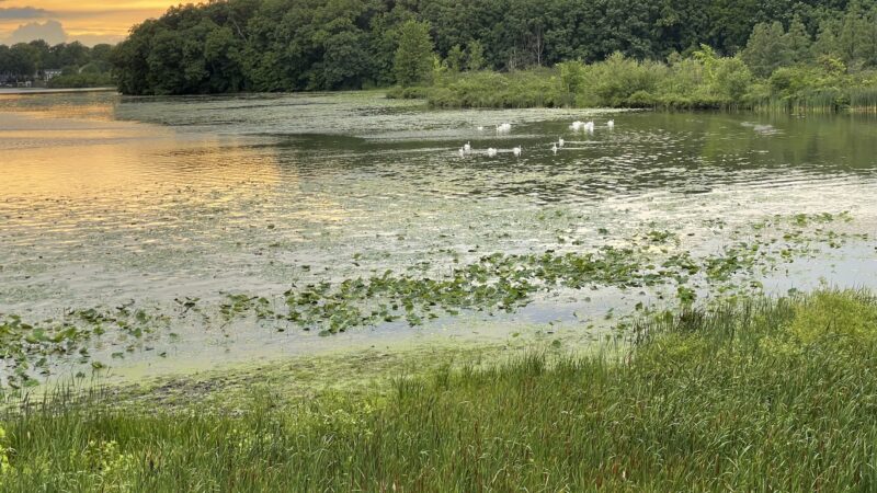 Sylvan Lake Indiana - Rome City, IN
