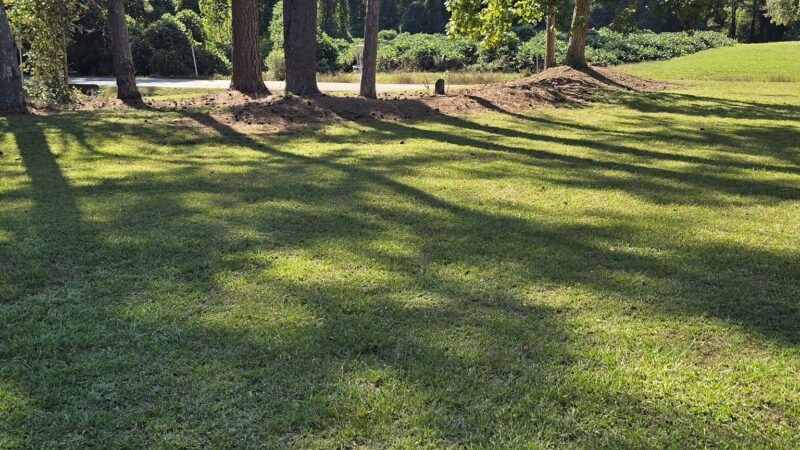 Shag Williams Park - Rome, GA