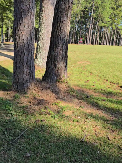 Shag Williams Park - Rome, GA