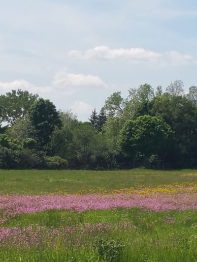 Floyd Town Park - Rome, NY