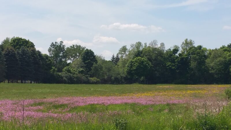 Floyd Town Park - Rome, NY