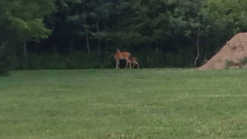 Haselton Park - Rome, NY