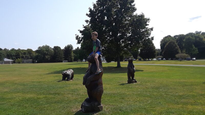 Lee Town Park - Rome, NY