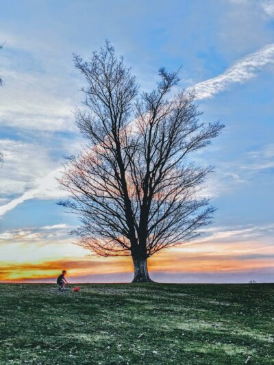 Lee Town Park - Rome, NY