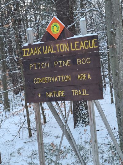 Pitch Pine Bog Conservation Area And Nature Trail - Rome, NY