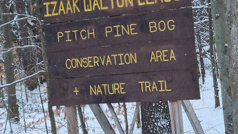 Pitch Pine Bog Conservation Area And Nature Trail - Rome, NY