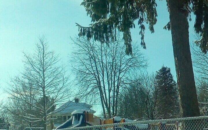 Triangle Park - Rome, NY